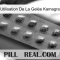 Utilisation De La Gelée Kamagra viagra3